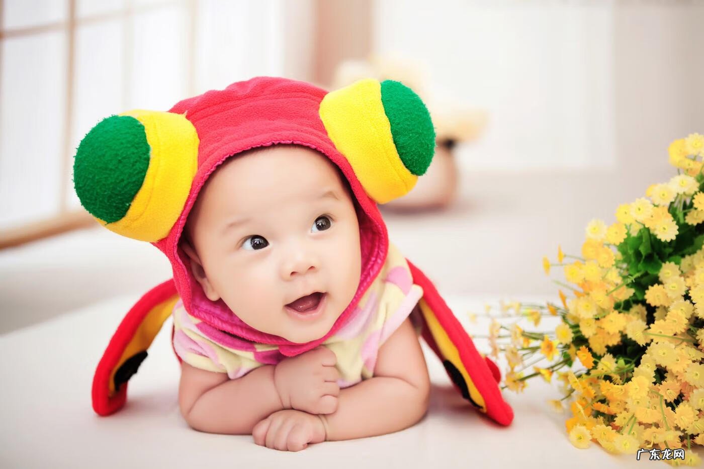 哪里可以免费学月嫂 哪里有月嫂公司