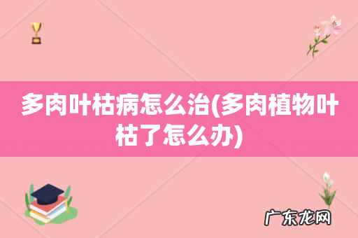 多肉植物叶枯了怎么办 多肉叶枯病怎么治