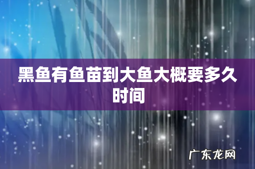 黑鱼有鱼苗到大鱼大概要多久时间