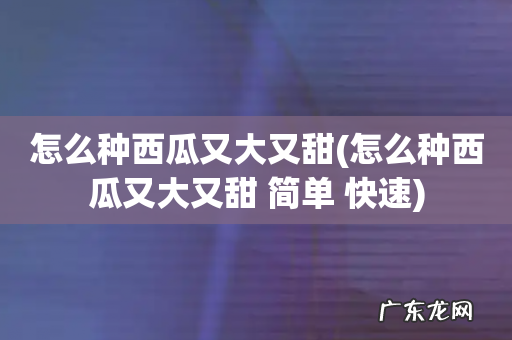 怎么种西瓜又大又甜 简单 快速 怎么种西瓜又大又甜