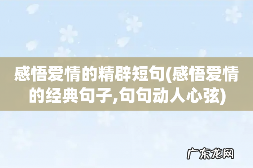 感悟爱情的经典句子,句句动人心弦 感悟爱情的精辟短句
