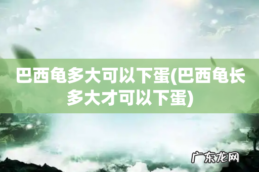 巴西龟长多大才可以下蛋 巴西龟多大可以下蛋
