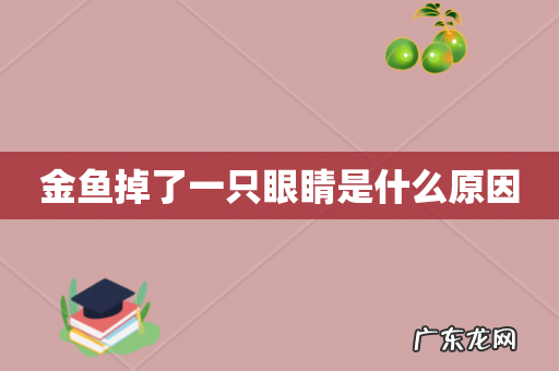 金鱼掉了一只眼睛是什么原因