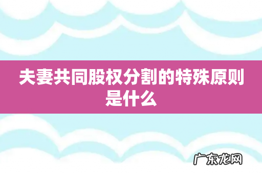 夫妻共同股权分割的特殊原则是什么