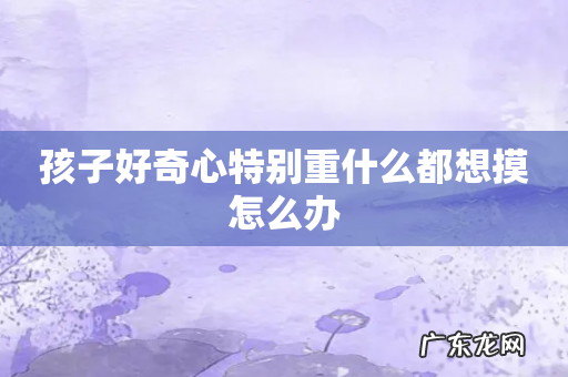 孩子好奇心特别重什么都想摸怎么办