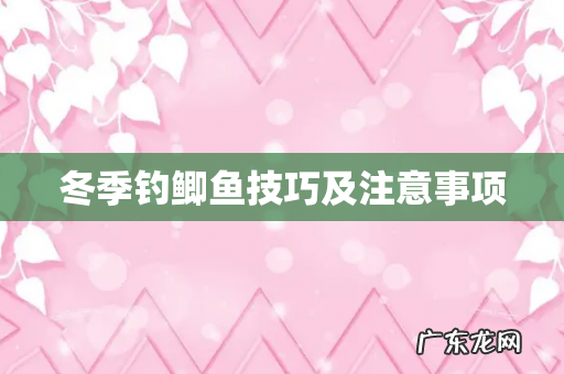 冬季钓鲫鱼技巧及注意事项
