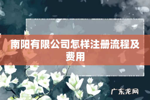 南阳有限公司怎样注册流程及费用