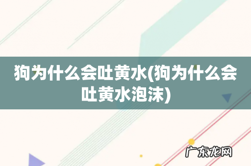 狗为什么会吐黄水泡沫 狗为什么会吐黄水