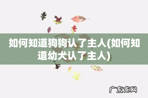 如何知道幼犬认了主人 如何知道狗狗认了主人