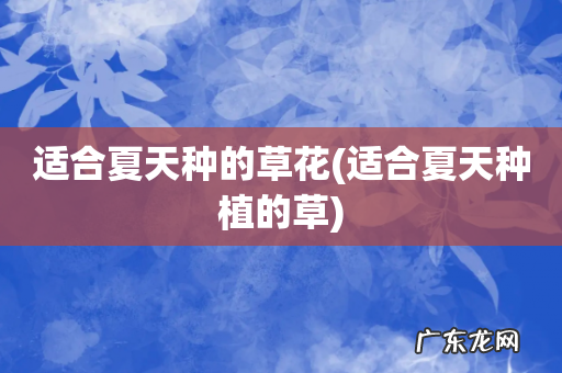 适合夏天种植的草 适合夏天种的草花
