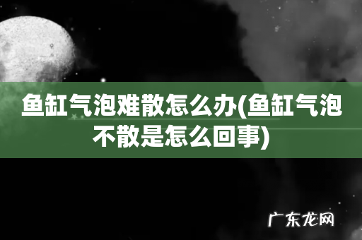 鱼缸气泡不散是怎么回事 鱼缸气泡难散怎么办