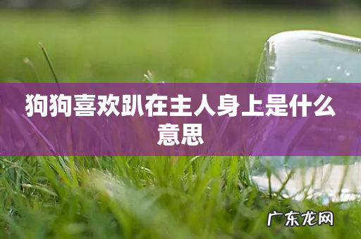 狗狗喜欢趴在主人身上是什么意思