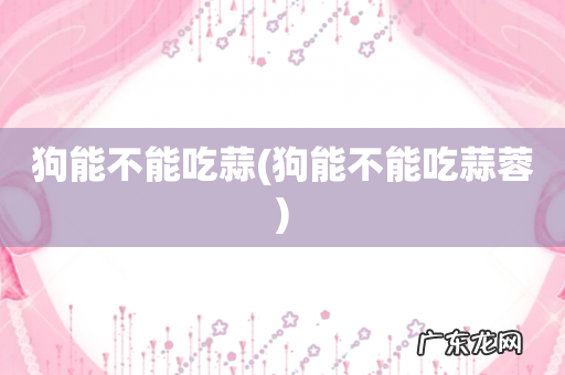 狗能不能吃蒜蓉 狗能不能吃蒜