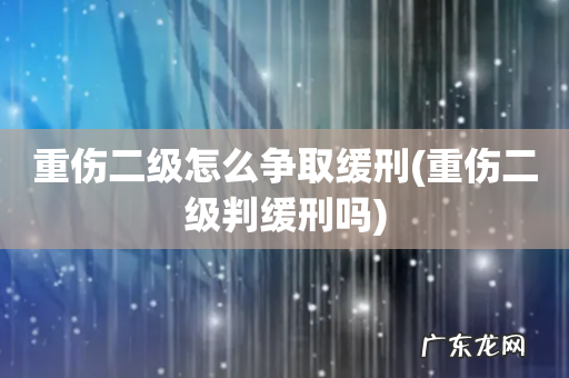 重伤二级判缓刑吗 重伤二级怎么争取缓刑