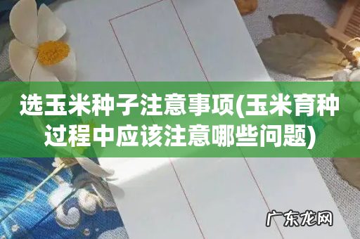 玉米育种过程中应该注意哪些问题 选玉米种子注意事项