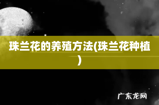 珠兰花种植 珠兰花的养殖方法
