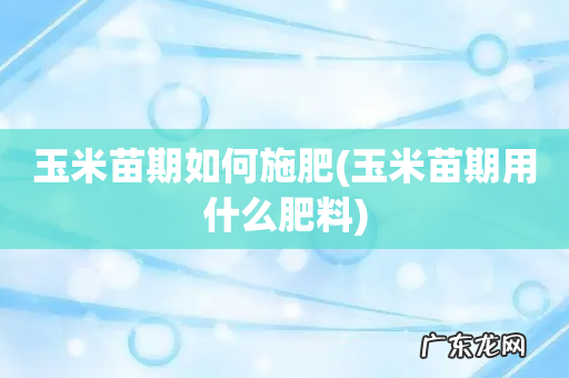 玉米苗期用什么肥料 玉米苗期如何施肥