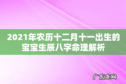 2021年农历十二月十一出生的宝宝生辰八字命理解析