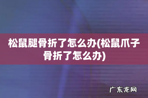 松鼠爪子骨折了怎么办 松鼠腿骨折了怎么办