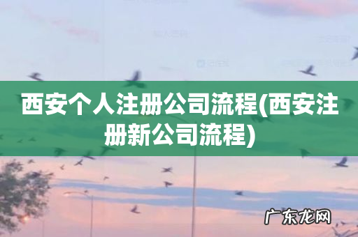 西安注册新公司流程 西安个人注册公司流程