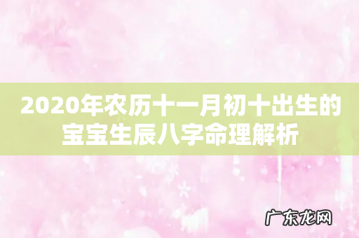 2020年农历十一月初十出生的宝宝生辰八字命理解析