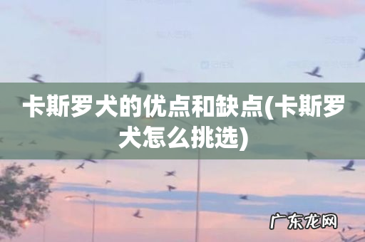 卡斯罗犬怎么挑选 卡斯罗犬的优点和缺点