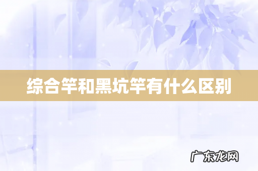 综合竿和黑坑竿有什么区别