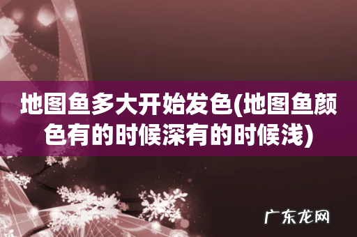 地图鱼颜色有的时候深有的时候浅 地图鱼多大开始发色