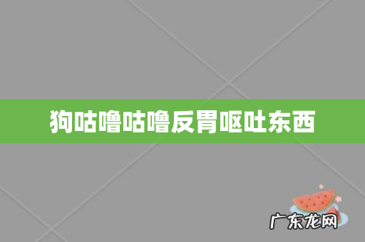 狗咕噜咕噜反胃呕吐东西