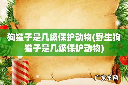 野生狗獾子是几级保护动物 狗獾子是几级保护动物