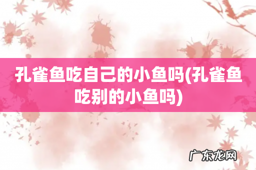 孔雀鱼吃别的小鱼吗 孔雀鱼吃自己的小鱼吗