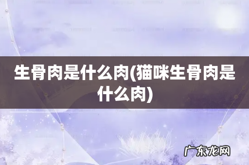 猫咪生骨肉是什么肉 生骨肉是什么肉