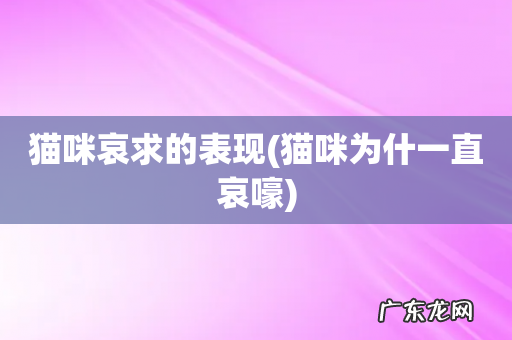 猫咪为什一直哀嚎 猫咪哀求的表现