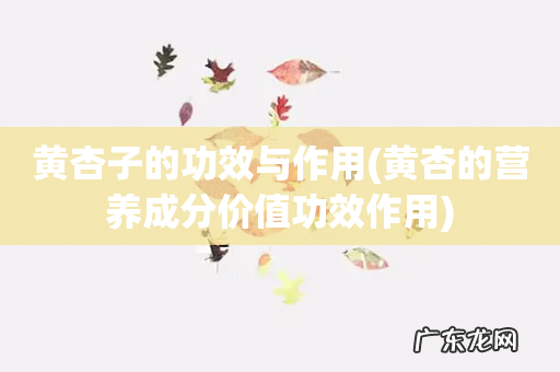 黄杏的营养成分价值功效作用 黄杏子的功效与作用