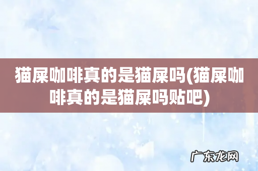 猫屎咖啡真的是猫屎吗贴吧 猫屎咖啡真的是猫屎吗