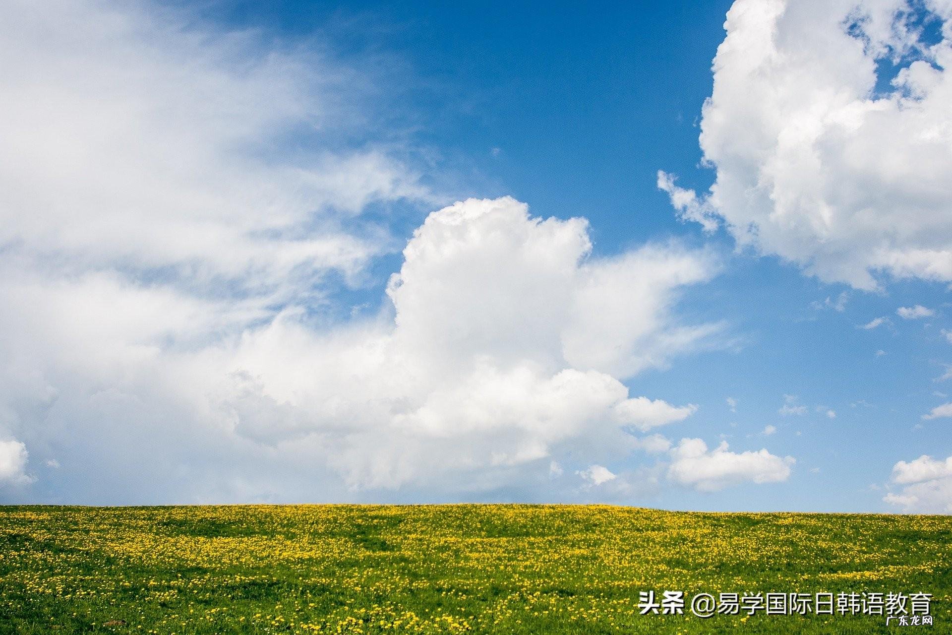 ichu是什么意思 ichun什么意思