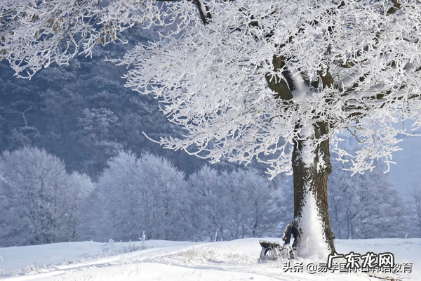 ichu是什么意思 ichun什么意思