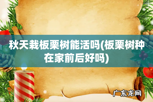 板栗树种在家前后好吗 秋天栽板栗树能活吗