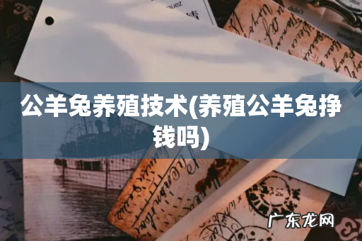 养殖公羊兔挣钱吗 公羊兔养殖技术