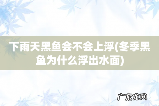冬季黑鱼为什么浮出水面 下雨天黑鱼会不会上浮