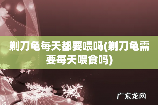 剃刀龟需要每天喂食吗 剃刀龟每天都要喂吗