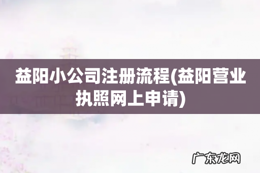 益阳营业执照网上申请 益阳小公司注册流程
