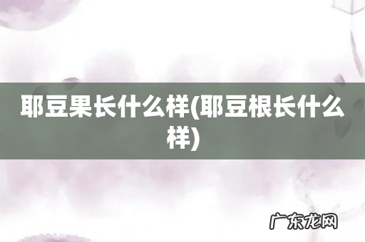 耶豆根长什么样 耶豆果长什么样
