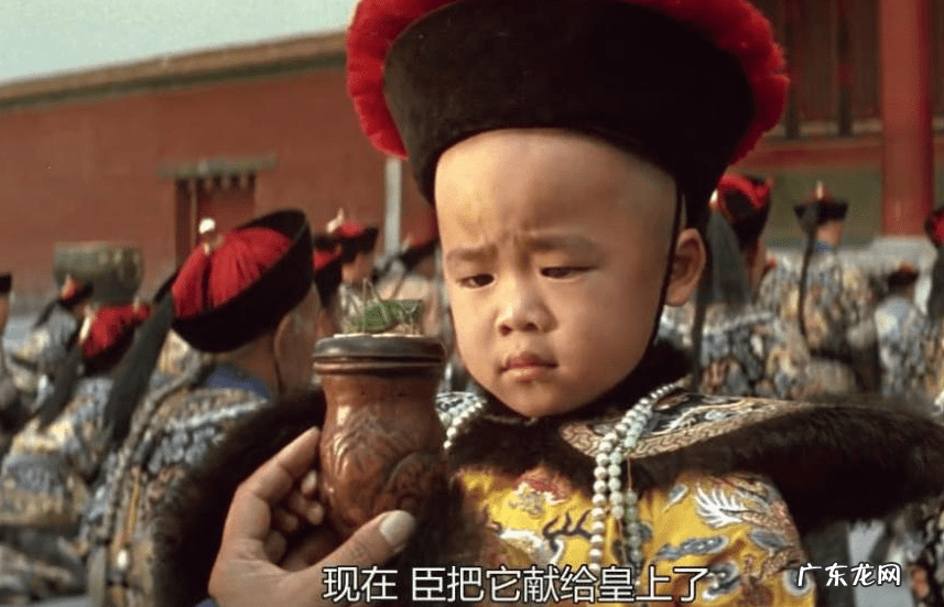 蝈蝈在风水有啥好处 蝈蝈数量风水