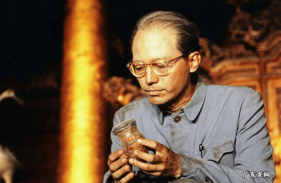 蝈蝈在风水有啥好处 蝈蝈数量风水