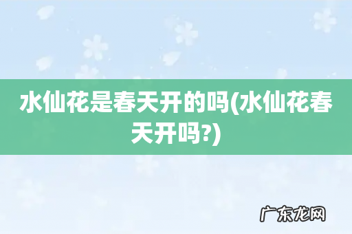 水仙花春天开吗? 水仙花是春天开的吗