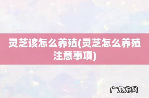 灵芝怎么养殖注意事项 灵芝该怎么养殖