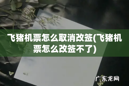 飞猪机票怎么改签不了 飞猪机票怎么取消改签