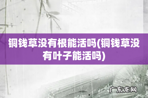 铜钱草没有叶子能活吗 铜钱草没有根能活吗