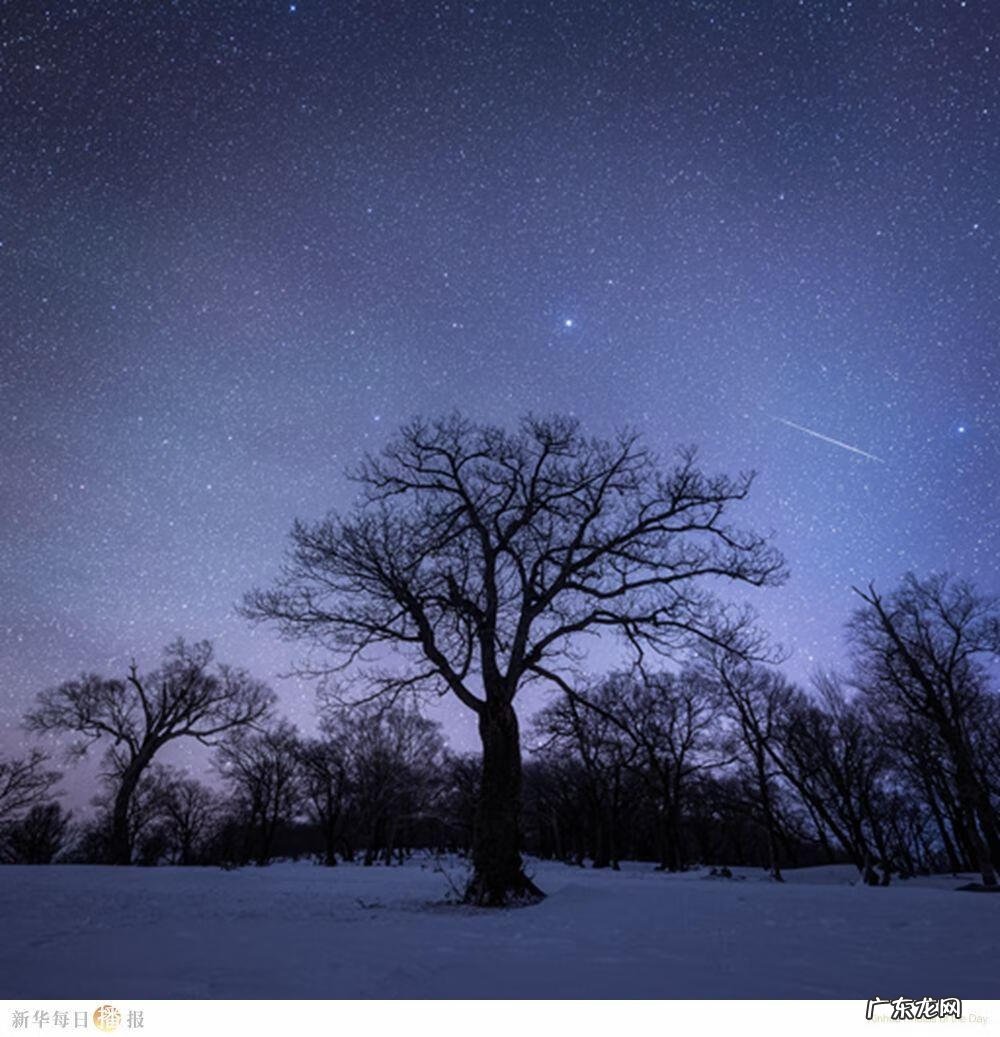 流星坠落 流星落下的图片